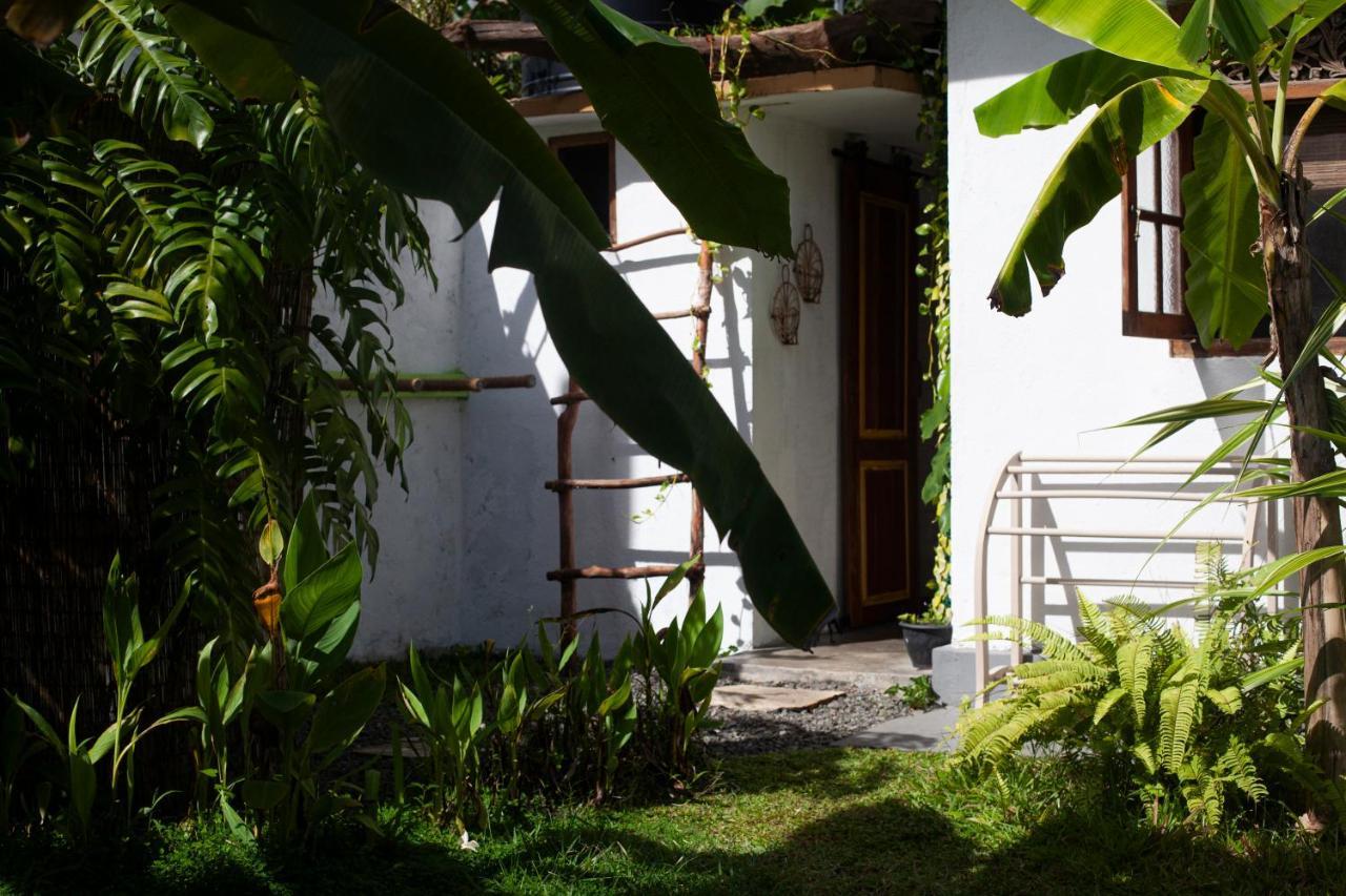 Marshmallow Homestay アハンガマ エクステリア 写真
